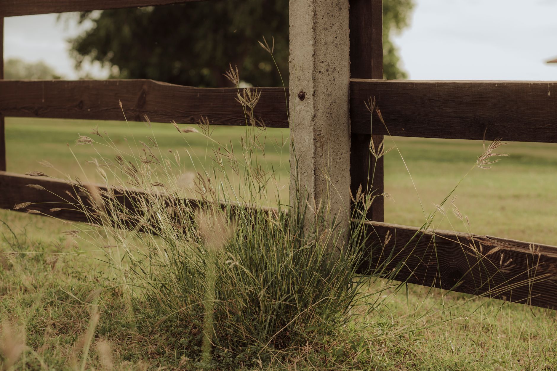 A homeowner applying clear sealant to protect a wooden fence from weather and pests