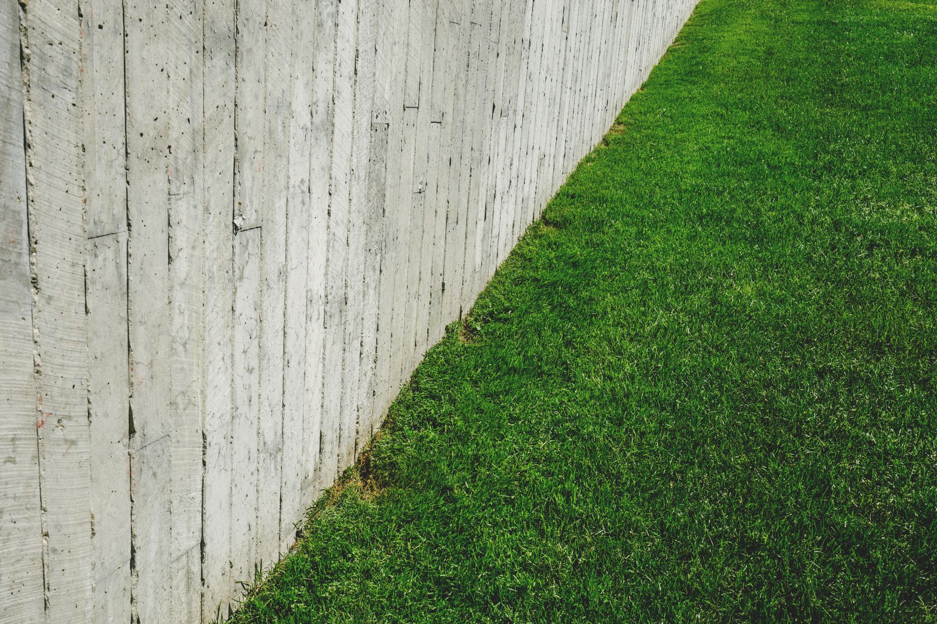 Wooden fence cleaner removing grime and restoring natural color on a weathered backyard fence