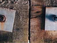 how-to-choose-wooden-fence-screws-18005918