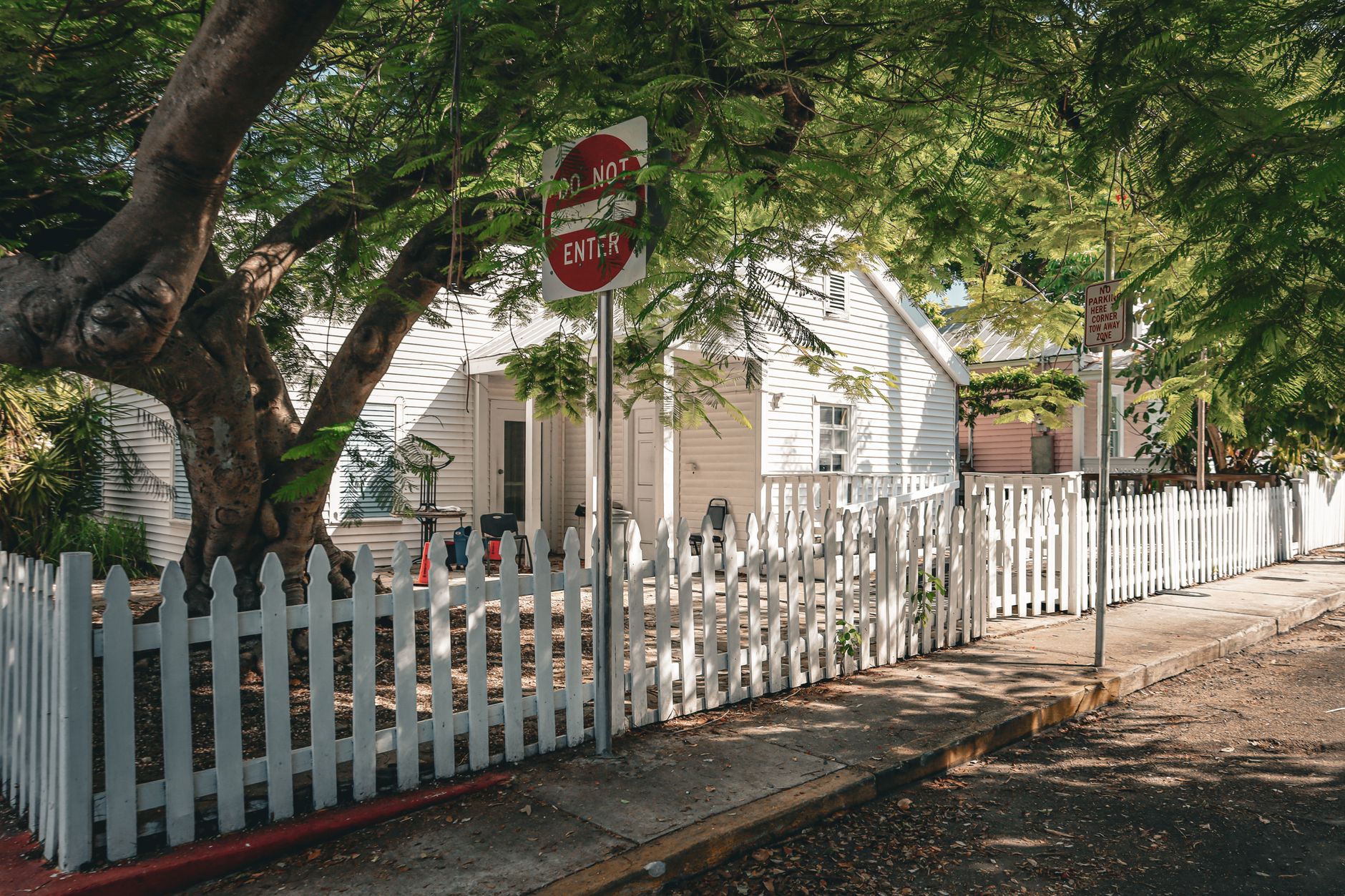 Various wooden fence styles, from classic picket to modern slat, showcasing natural grain and design options