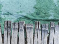Close-up of natural wooden fence boards, showing grain, weathered texture, and sturdy construction.