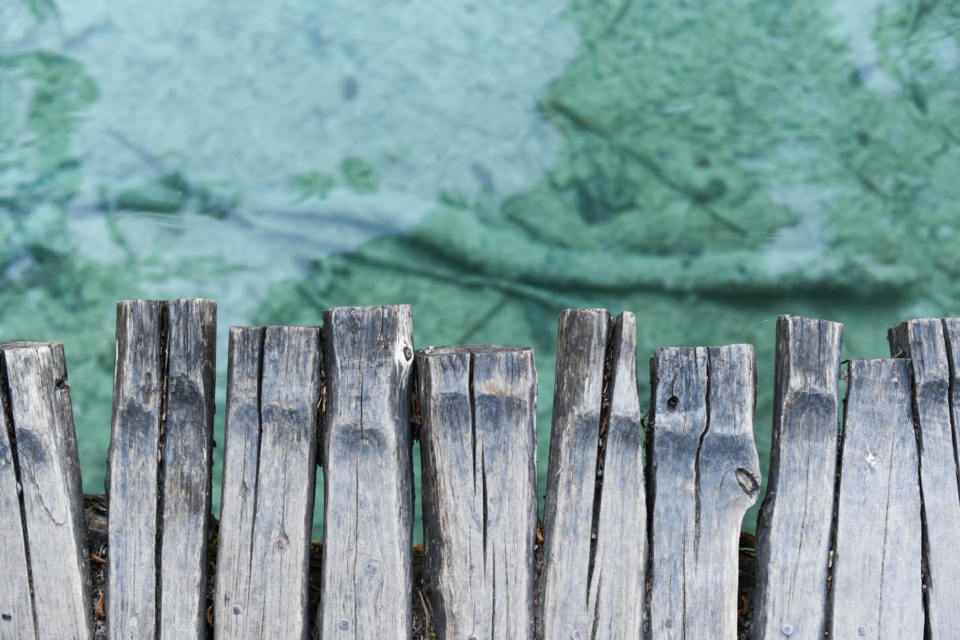 Close-up of natural wooden fence boards, showing grain, weathered texture, and sturdy construction.