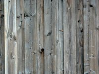 how-to-pick-install-care-269035 Horizontal wooden fence with natural grain, adding rustic charm to a backyard garden.