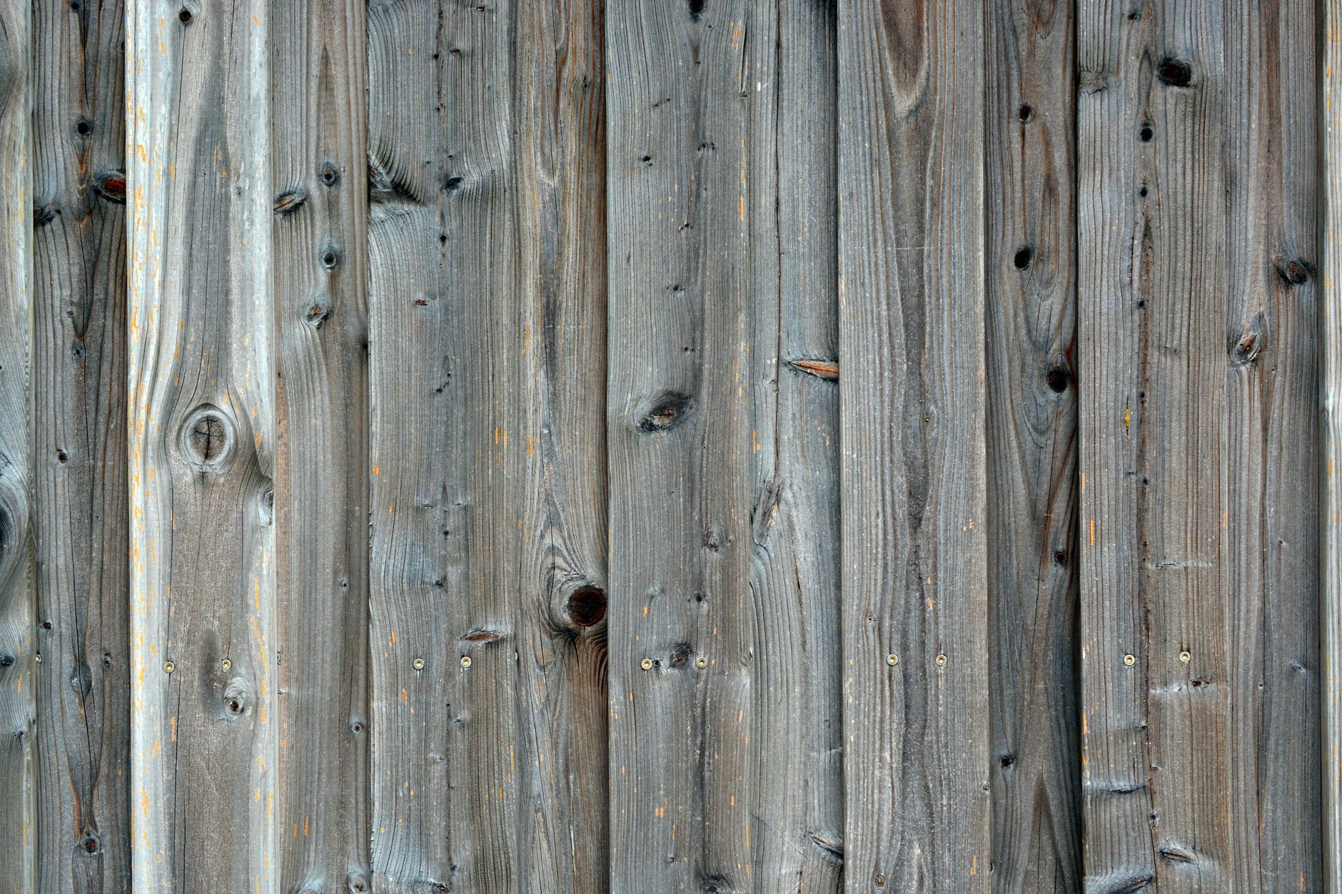 how-to-pick-install-care-269035 Horizontal wooden fence with natural grain, adding rustic charm to a backyard garden.