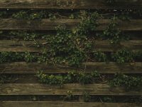 why-modern-wooden-fence-styles-beat-5458355
