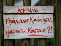 proven-wooden-fence-treatment-methods-to-28487527