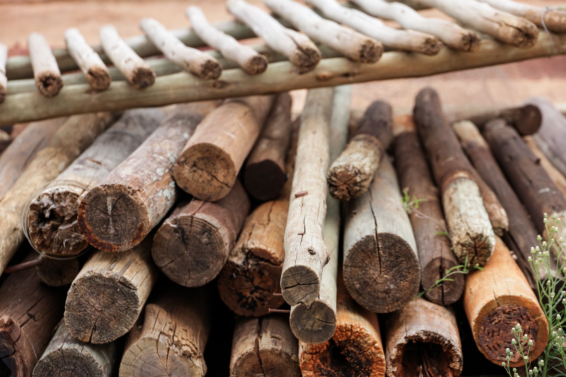 Sturdy wooden fence poles standing side by side, showcasing natural grain and weather-resistant finish